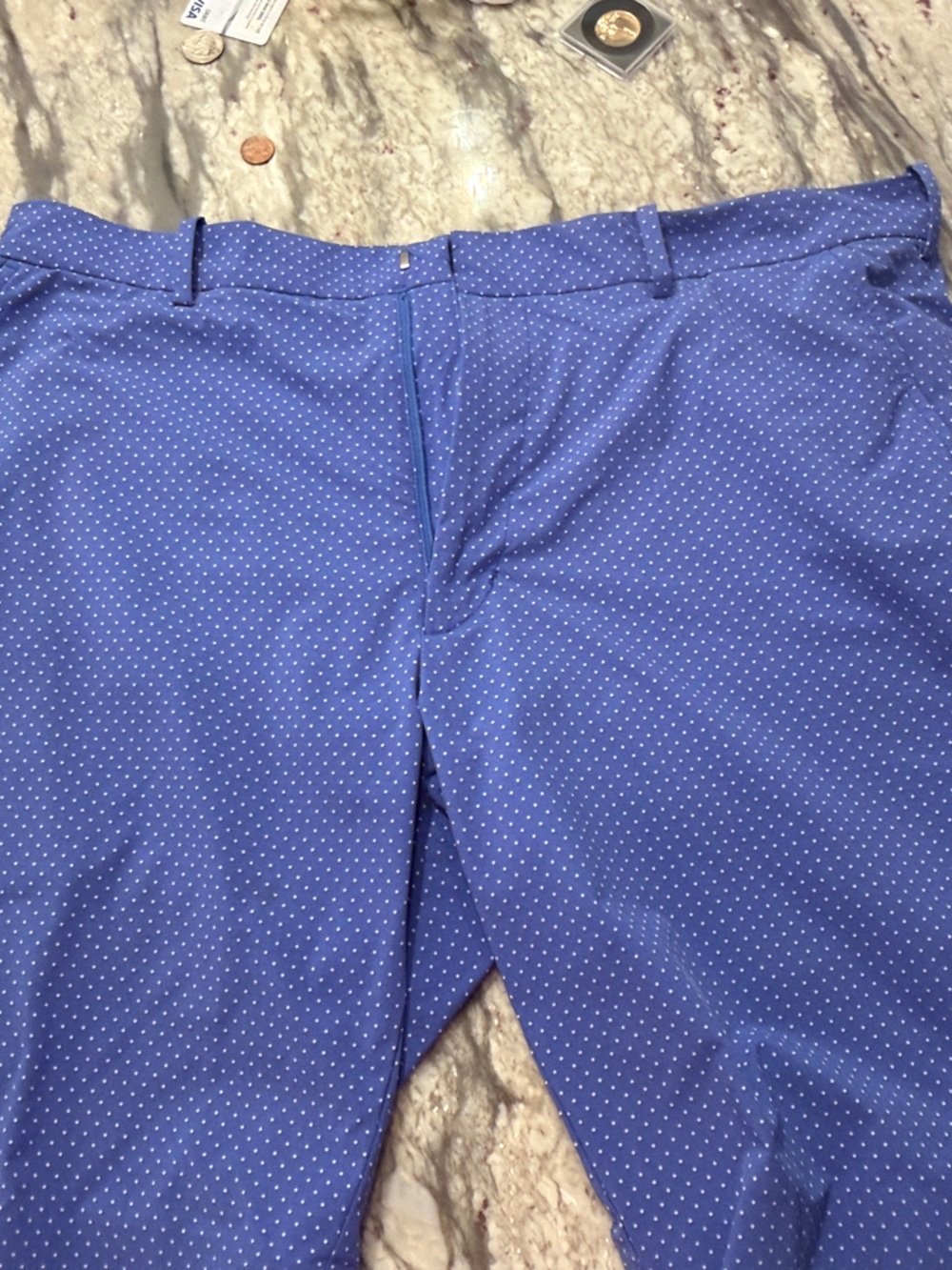 Men's Blue Microdot Flat Front Shorts